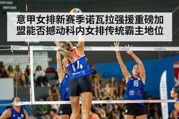 意甲女排新赛季诺瓦拉强援重磅加盟能否撼动科内女排传统霸主地位