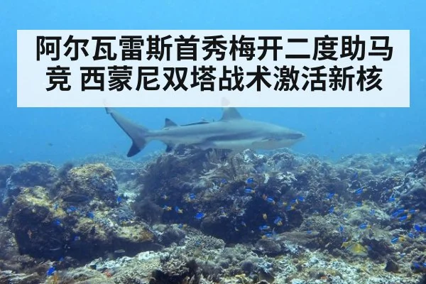 阿尔瓦雷斯首秀梅开二度助马竞 西蒙尼双塔战术激活新核